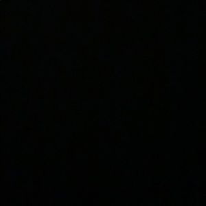 Meet your Posher, Vincent